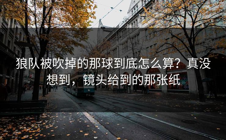狼队被吹掉的那球到底怎么算？真没想到，镜头给到的那张纸